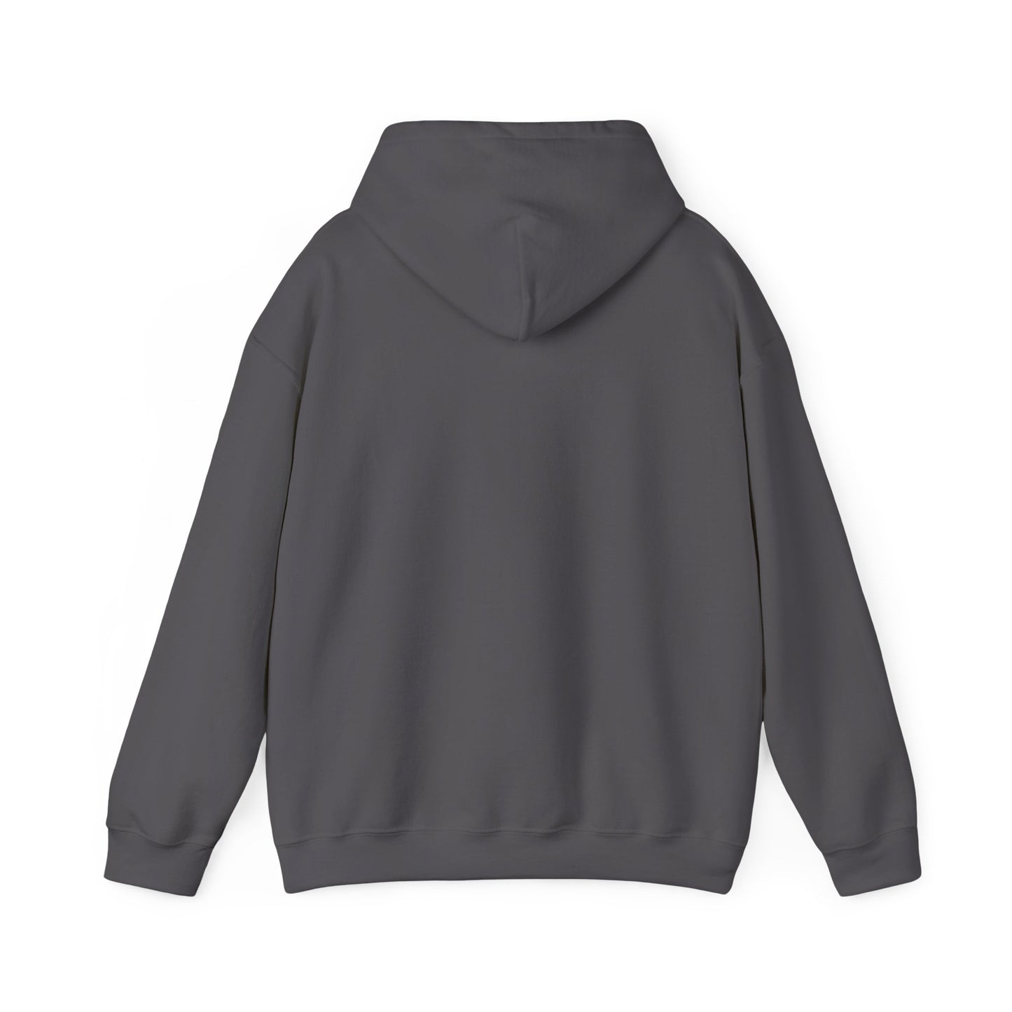 Believe in Jehovah hoodie