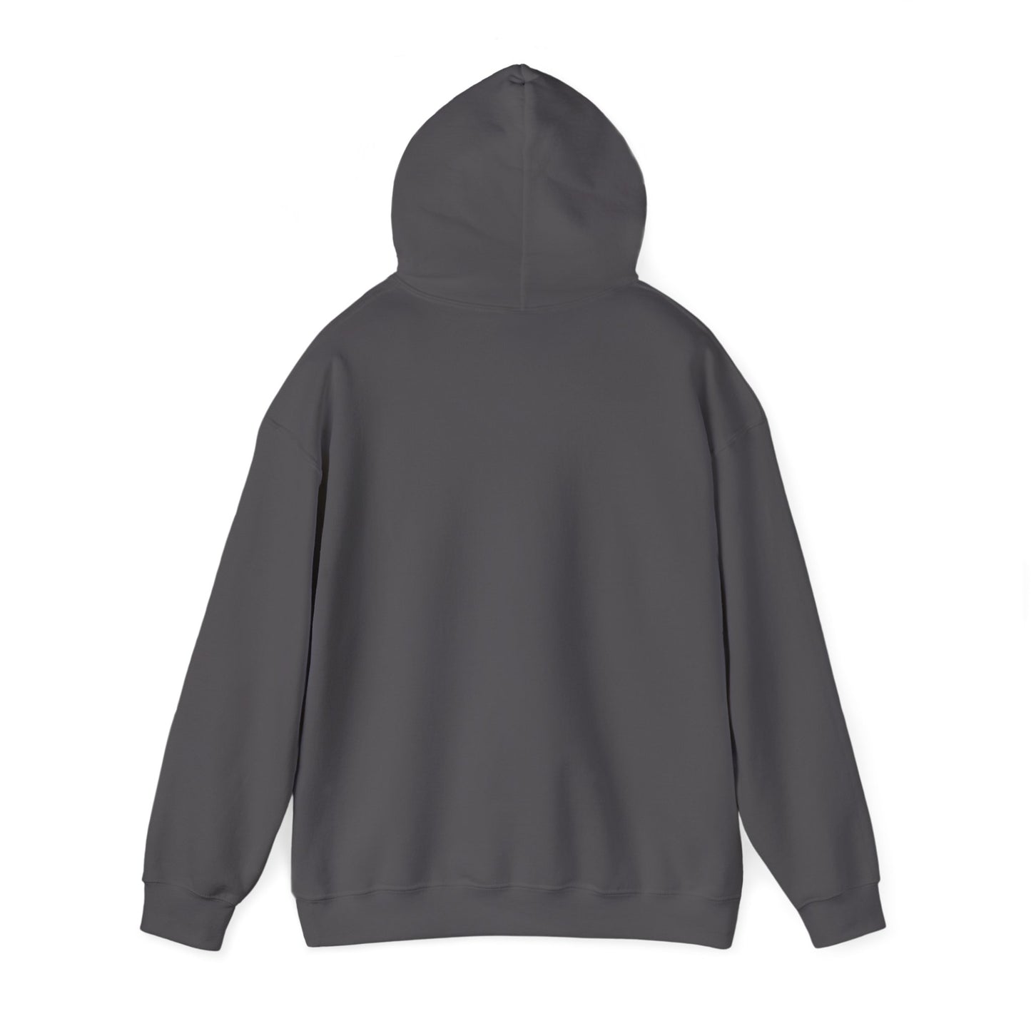 Believe in Jehovah hoodie