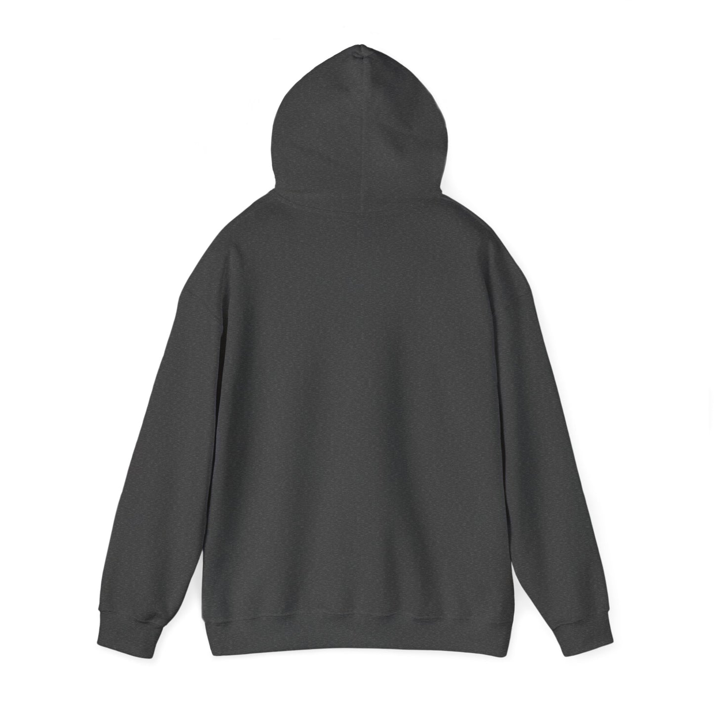 Believe in Jehovah hoodie